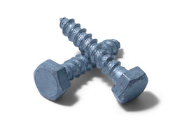 10 x 100 MS HDG Hex Coach Screw