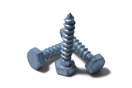 10 x 100 MS HDG Hex Coach Screw