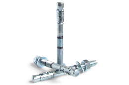 Rawlplug M20 x 300 MS BZP XPT Throughbolt
